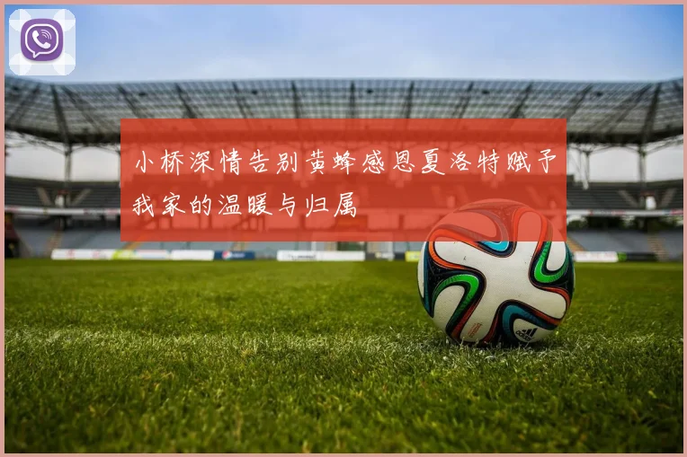 小桥深情告别黄蜂感恩夏洛特赋予我家的温暖与归属