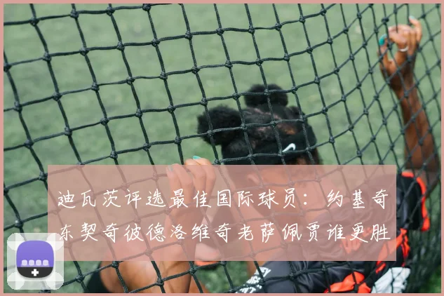 迪瓦茨评选最佳国际球员：约基奇东契奇彼德洛维奇老萨佩贾谁更胜一筹