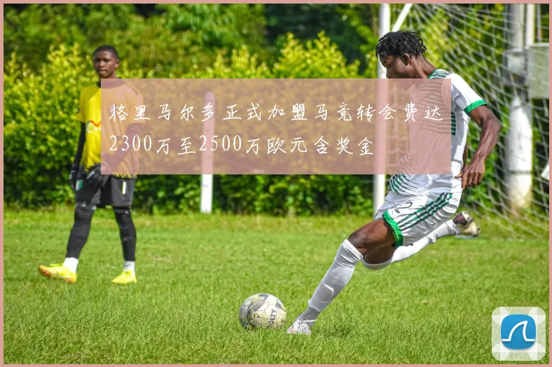 格里马尔多正式加盟马竞转会费达2300万至2500万欧元含奖金